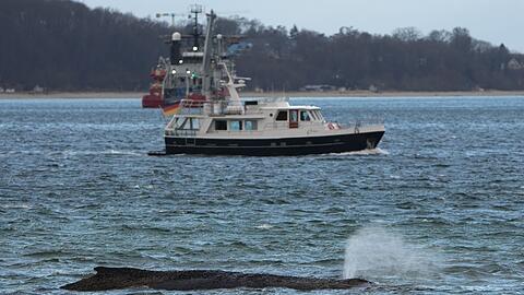 Ein gr&ouml;&szlig;erer Saugbagger wird demn&auml;chst vor Ort erwartet.