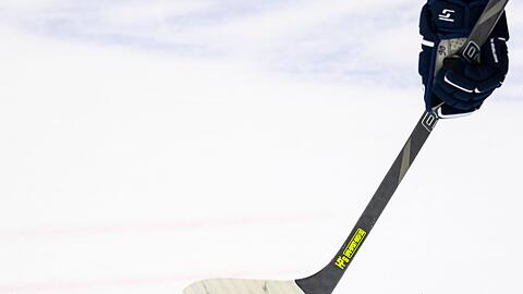 Die Augsburger Panther holen einen Verteidiger aus Russland. (Symbolbild)