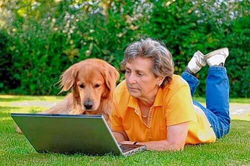 Twittern oder facebooken mit Hund? Ist erlaubt.