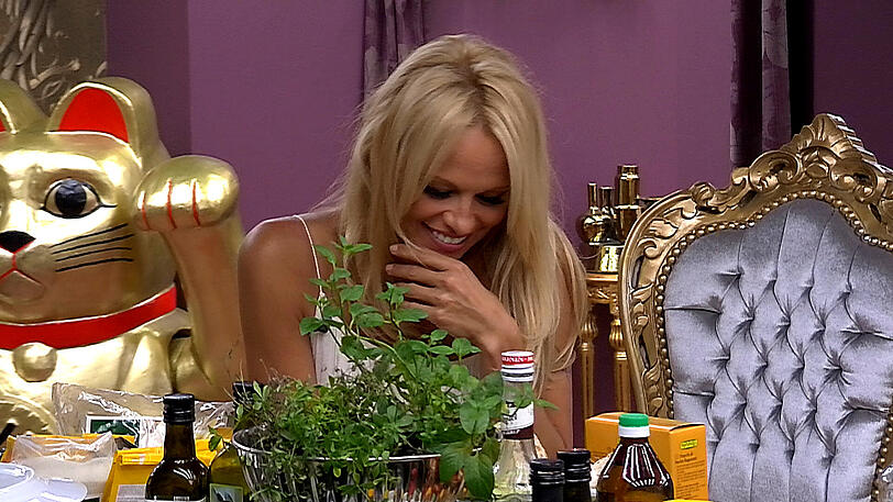 Bilder von Pamela Anderson...