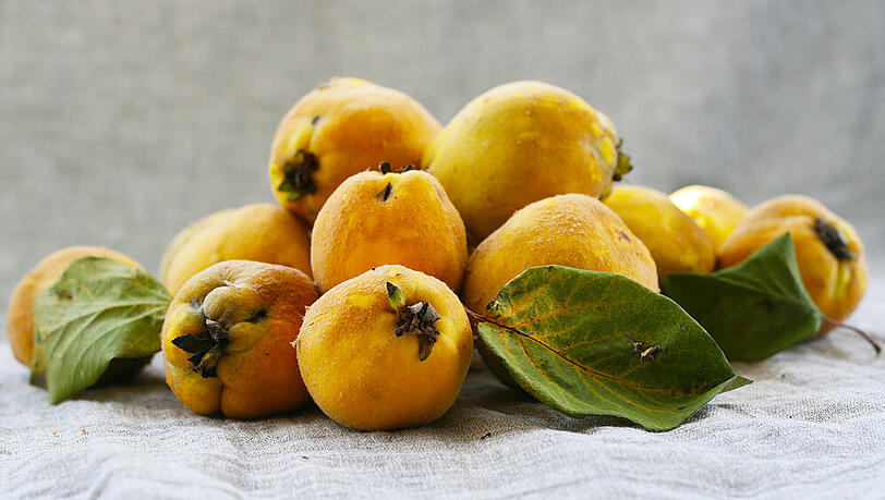 Quitten sind nicht nur lecker, sondern auch gesund. Quitten sind nicht nur lecker, sondern auch gesund.