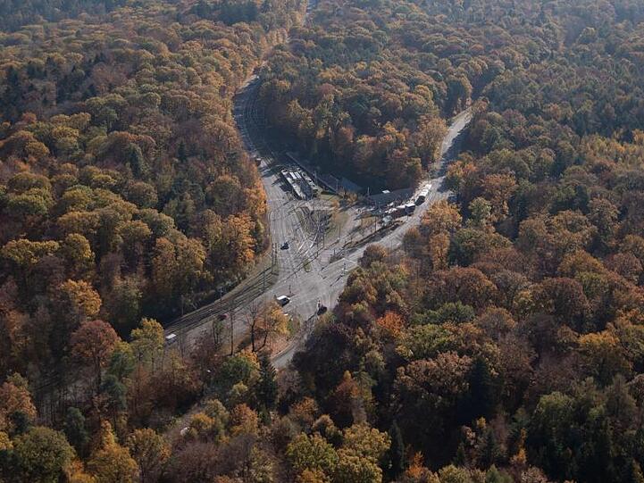 Blick auf eine Kreuzung im Wald. Foto: Marijan Murat/Archiv