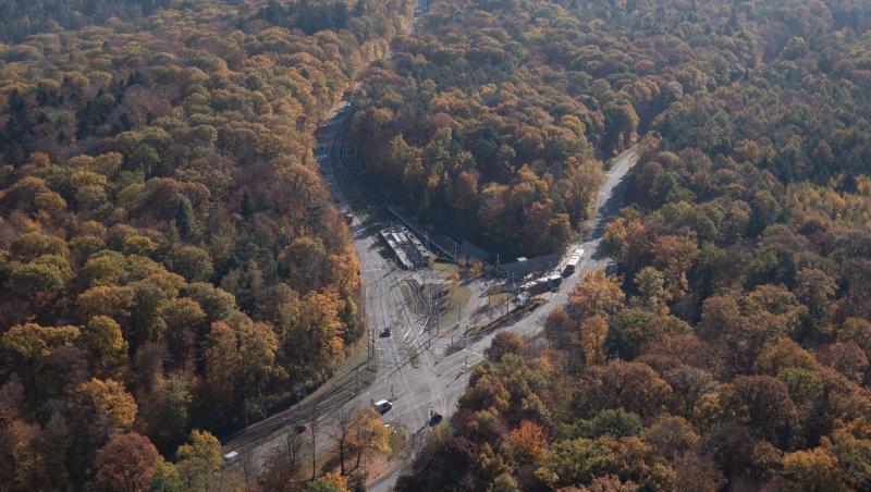 Blick auf eine Kreuzung im Wald. Foto: Marijan Murat/Archiv Blick auf eine Kreuzung im Wald. Foto: Marijan Murat/Archiv
