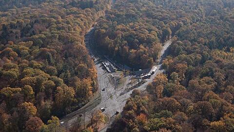 Blick auf eine Kreuzung im Wald. Foto: Marijan Murat/Archiv