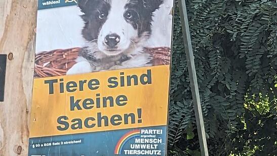 Die Tierschutzpartei.