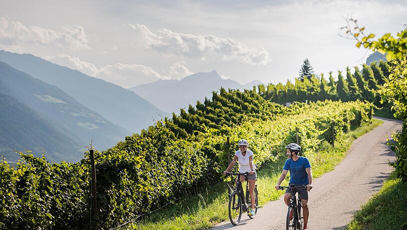 In den Weinbergen rund um Naturns finden Biker herrliche Radwege. In den Weinbergen rund um Naturns finden Biker herrliche Radwege.