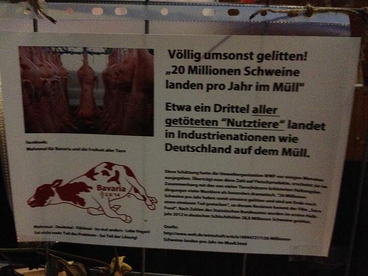 Tierschützer haben hier Massentierhaltung angeprangert - und dass viele "Nutztiere" getötet, aber gar nicht verzehrt werden.