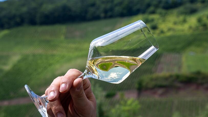 Trockene Weine liegen weiter im Trend. (Symbolbild) Trockene Weine liegen weiter im Trend. (Symbolbild)