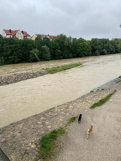 Der Pegel der Isar ist aufgrund der Regenfälle der vergangenen Tagen auf über 1,80 Meter angestiegen.