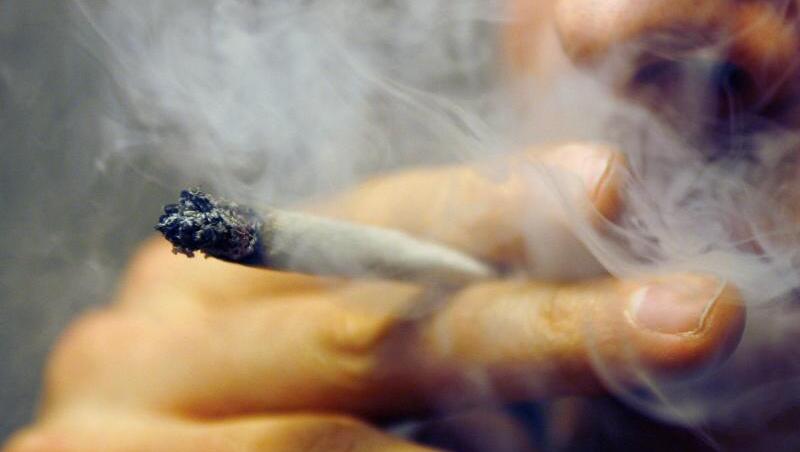 Die Polizisten stellten Hunderte Gramm Cannabis sicher. (Symbolbild)