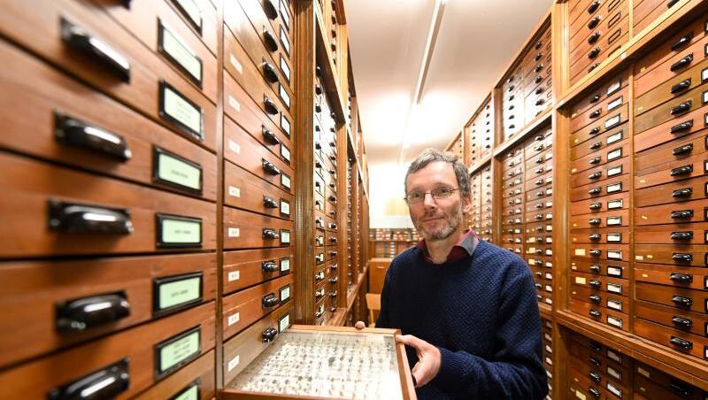 Stefan Schmidt, Insektenforscher an der Zoologischen Staatssammlung, mit einem Kasten mit präparierten Insekten. Foto: Tobias Hase/Archiv Stefan Schmidt, Insektenforscher an der Zoologischen Staatssammlung, mit einem Kasten mit präparierten Insekten. Foto: Tobias Hase/Archiv
