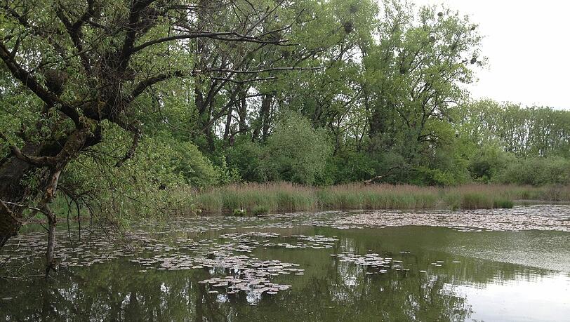Wer Ruhe sucht, ist hier richtig: Die Aubinger Lohe. Wer Ruhe sucht, ist hier richtig: Die Aubinger Lohe.