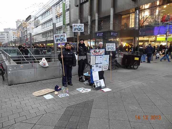 So protestieren Tierschützer in Hannover gegen das Taubentöten in Pasing.