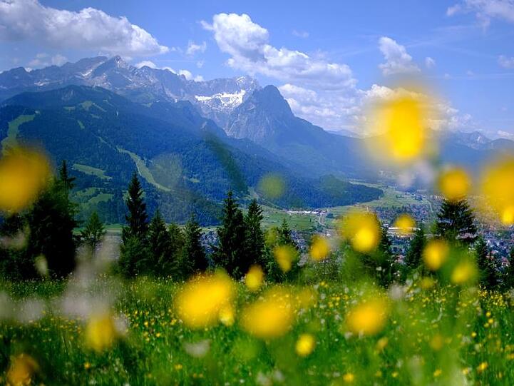 Im Hintergrund sind die Gipfel des Wettersteins mit der Zugspitze zu sehen. Foto: picture alliance / Sven Hoppe/dpa