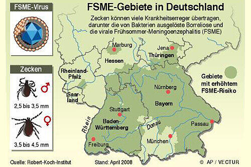 Nürnberg und sein Umland liegen mitten im Risiko-Gebiet: Wenigstens gegen FSME kann eine Impfung schützen.