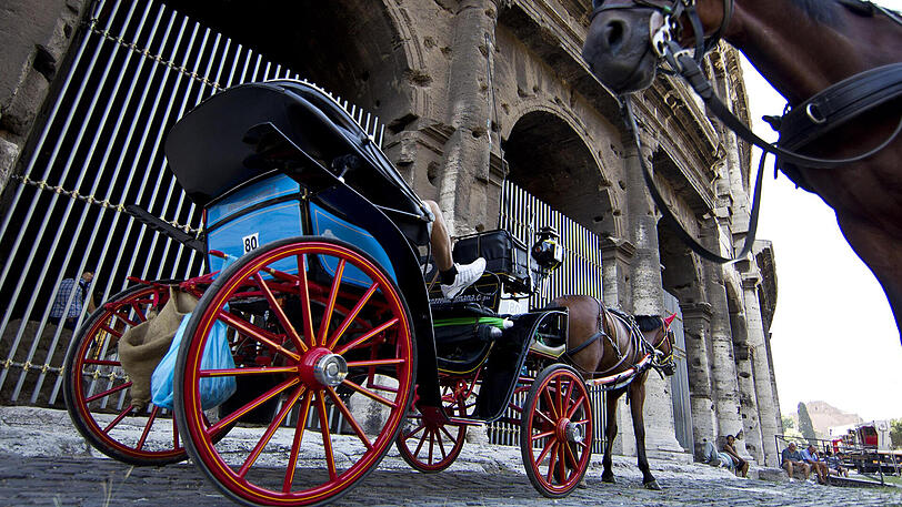 Die "Botticelle" fahren Touristen zu Sehenswürdigkeiten - bald werden die Fiaker aber der Vergangenheit angehören.