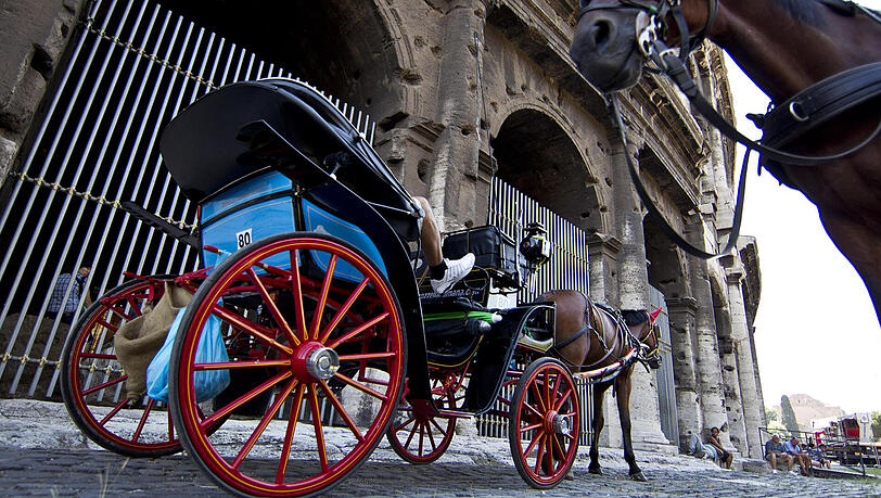 Die "Botticelle" fahren Touristen zu Sehenswürdigkeiten - bald werden die Fiaker aber der Vergangenheit angehören. Die "Botticelle" fahren Touristen zu Sehenswürdigkeiten - bald werden die Fiaker aber der Vergangenheit angehören.