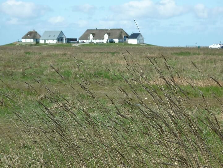 Hamburger Hallig.