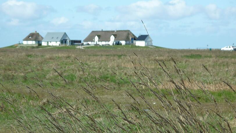 Hamburger Hallig. Hamburger Hallig.