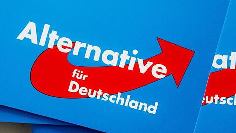 Das Logo der Alternative für Deutschland (AfD) auf dem Landesparteitag der AfD auf Parteibroschüren.