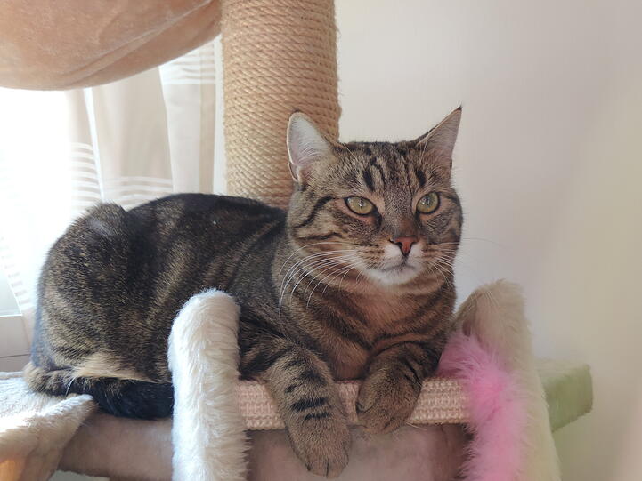 Fritzi