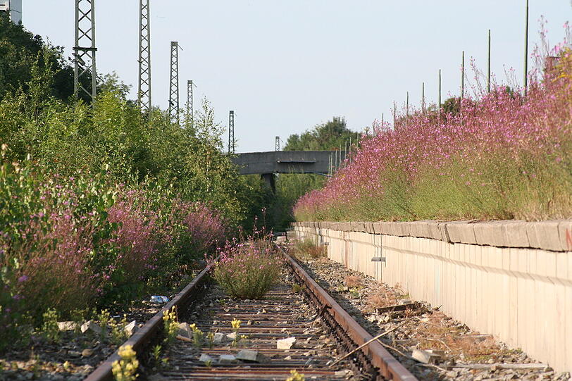 Bilder vom Geisterbahnhof "Olympiastadion". Der Stadt droht eine Denkmalschutz-Posse, weil neben dem Bahnhofsgebäude auch die funktionslosen Gleise erhalten bleiben sollen.