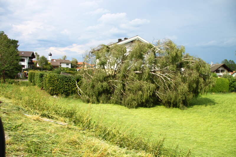 Hagel, Regen, umgeknickte Bäume, vollgelaufene Keller - Heftige Unwetter sind am Mittwochabend über Bayern gezogen. Die Bilder.