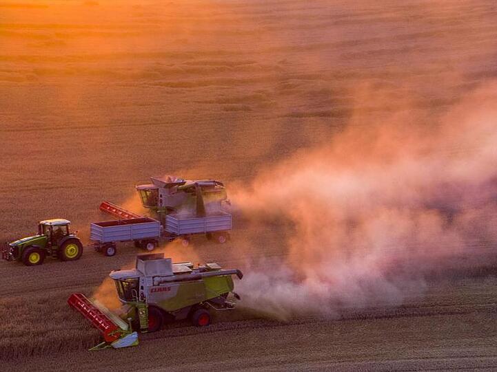 Mähdrescher ernten nach Sonnenuntergang ein Roggenfeld ab. Die deutschen Landwirte ziehen eine Bilanz der diesjährigen Ernte.
