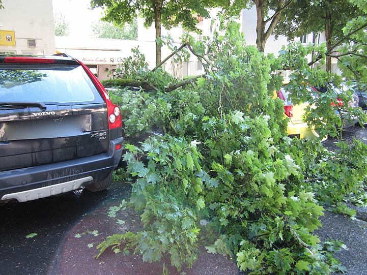 Die Bilder vom beim Gewitter völlig zerstörten Auto und dem unheilbringenden Ast.