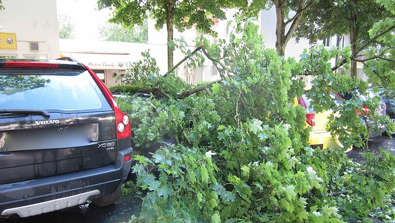 Die Bilder vom beim Gewitter völlig zerstörten Auto und dem unheilbringenden Ast. Die Bilder vom beim Gewitter völlig zerstörten Auto und dem unheilbringenden Ast.