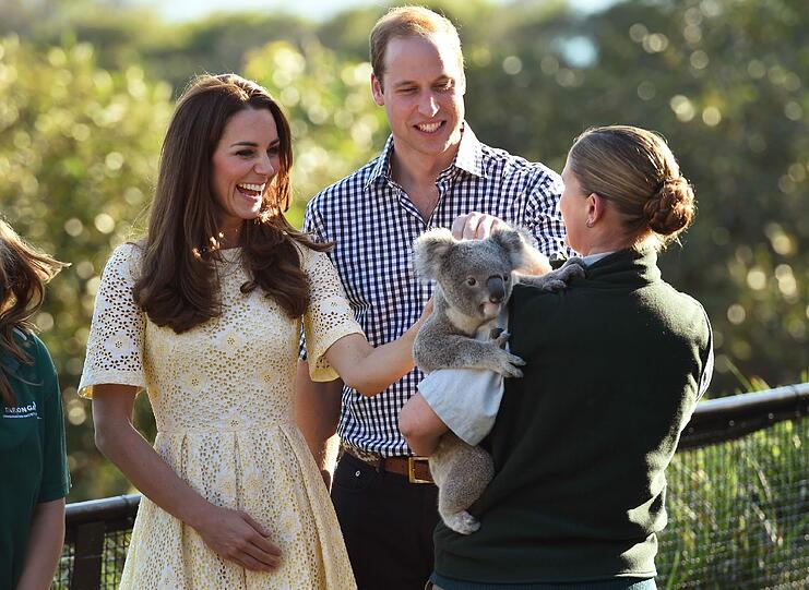 In einem eierschalenfarbenen Spitze-Kleid machte Kate eine erste Begegnung mit kleinen Koalabären.