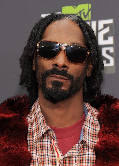 Weiter Bilder von den MTV Movie Awards: Snoop Lion