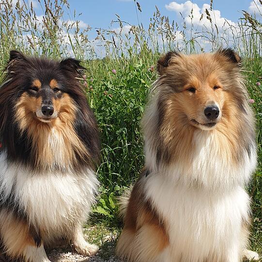 Yaska und Kayla