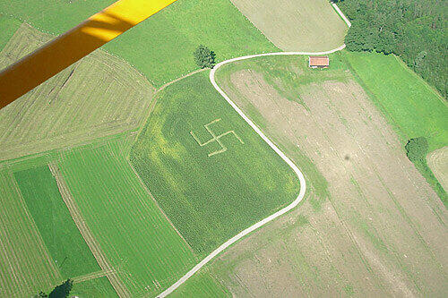 Unfassbar wie weit Nazis gehen: Jemand trampelte ein Hankenkreuz in ein Maisfeld.