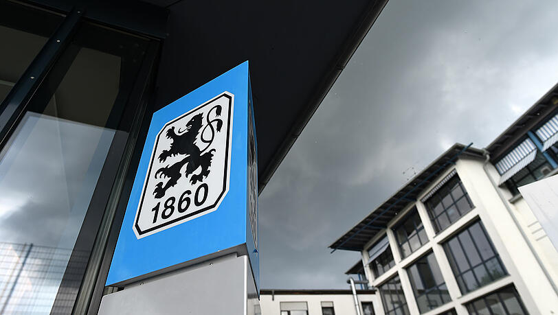 Ein turbulentes Jahr liegt hinder den Löwen. Ein turbulentes Jahr liegt hinder den Löwen.