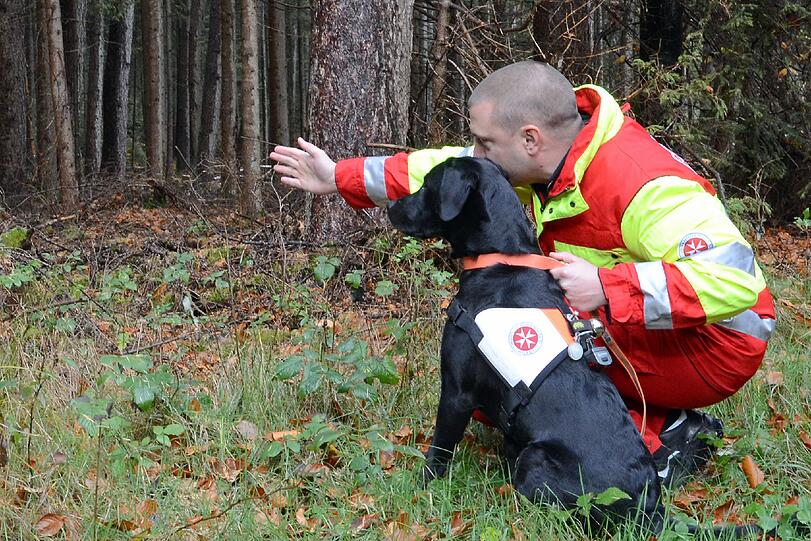 Ein angehender Rettungshund beim Training - die Johanniter suchen Nachwuchs für die Rettungshundearbeit.