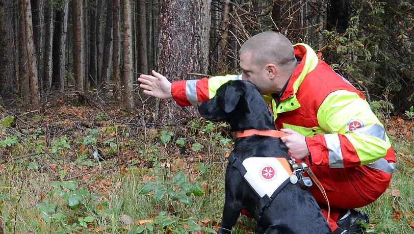 Ein angehender Rettungshund beim Training - die Johanniter suchen Nachwuchs für die Rettungshundearbeit. Ein angehender Rettungshund beim Training - die Johanniter suchen Nachwuchs für die Rettungshundearbeit.
