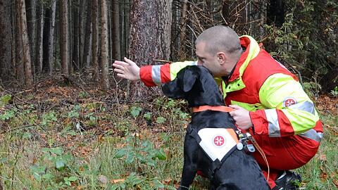 Ein angehender Rettungshund beim Training - die Johanniter suchen Nachwuchs für die Rettungshundearbeit.
