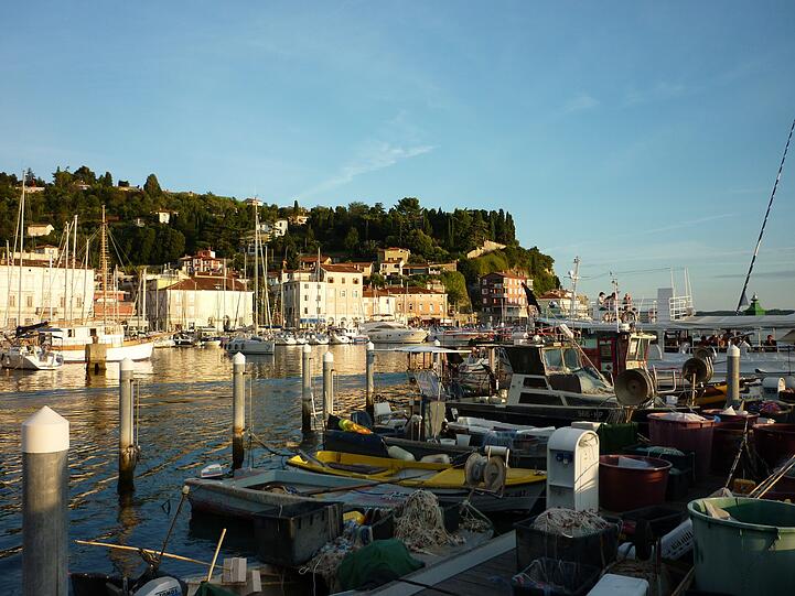 Fischerboote im Hafen von Piran.