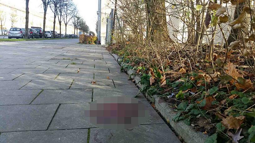 Die Naupliastraße in Harlaching: Hier kam es zu den tödlichen Messerstichen.