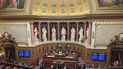 Le Pens Rechtsnationale bekommen mehr Einfluss im Pariser Senat. (Archivbild)