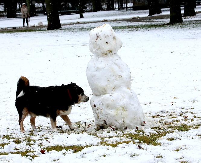 Schnee in München. Die Bilder.
