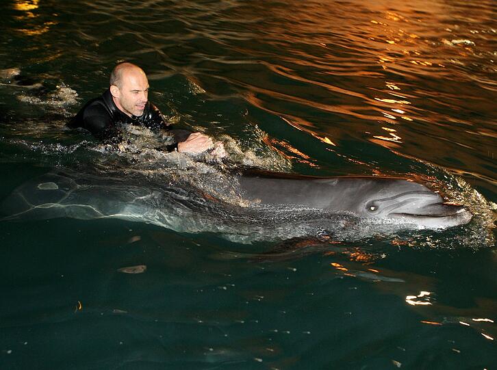 Für die Löwen ging's am Mittwoch noch tierisch zu: Im Delfinarium durften sie mit Flipper & Co. eine Runde schwimmen.