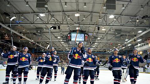 Die Profis des EHC Red Bull.