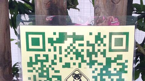 Die Schilder mit dem Handy-Code