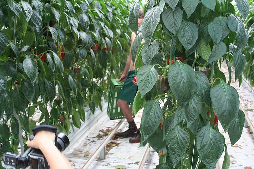 Das Making of zum Jungbauernkalender 2012 am 18.07.2011.