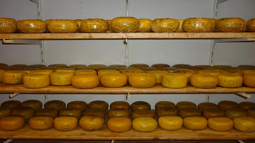 Ein Klassiker in Amsterdam und der gesamten Niederlande: Der Käse.