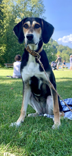 Rita