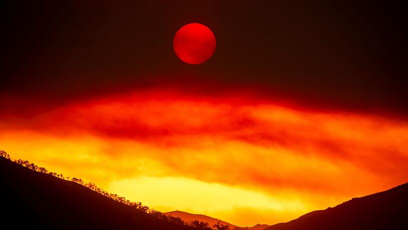 Das sogenannte "Gifford Fire" wütet im Los Padres National Forest, einem Waldgebiet nördlich von Santa Barbara.