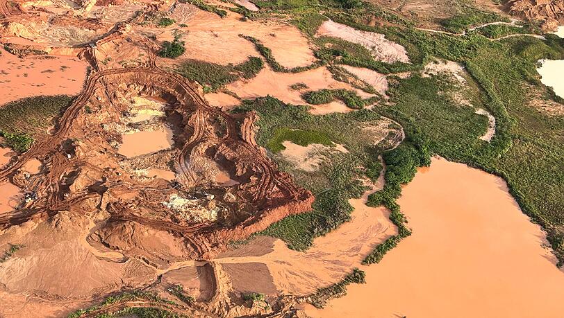 Aus der Luft sind abgeholzte Flächen im Amazonas-Gebiet zu sehen. (Archivbild) Aus der Luft sind abgeholzte Flächen im Amazonas-Gebiet zu sehen. (Archivbild)